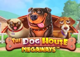 mahaveerturquoise: The Dog House Megaways